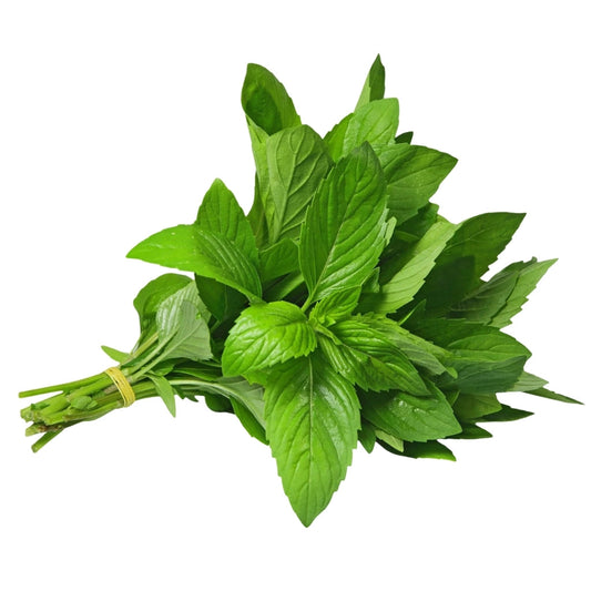 Menthe | € / pièce