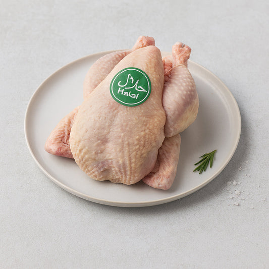 Krielkip | € / stuk